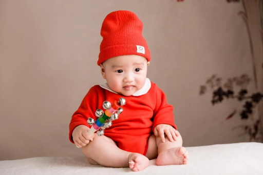 衡水宝宝餐椅哪种最实用